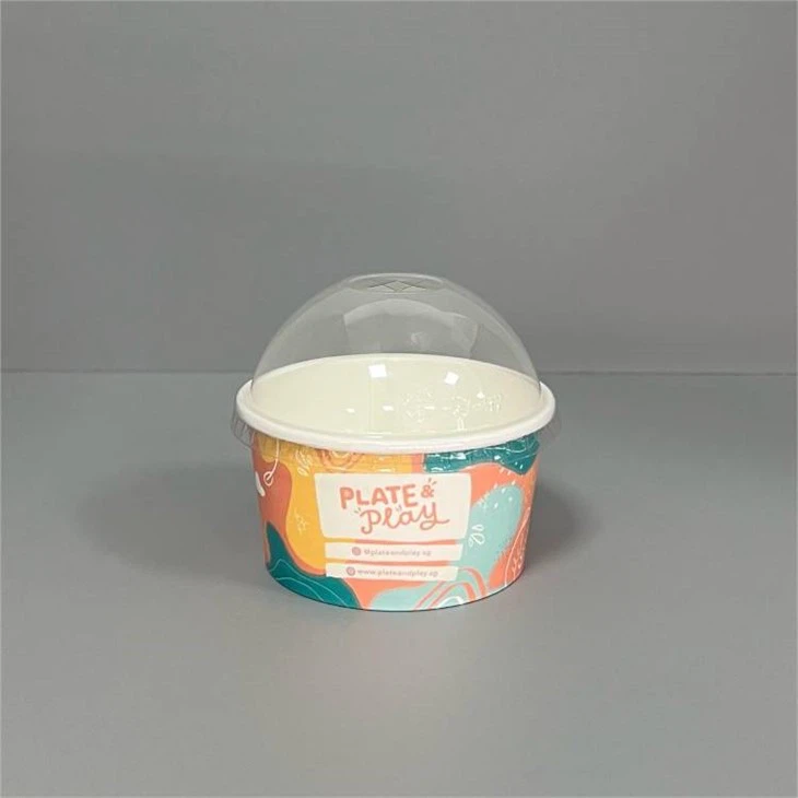 100ml 3oz Ice Cream Tub